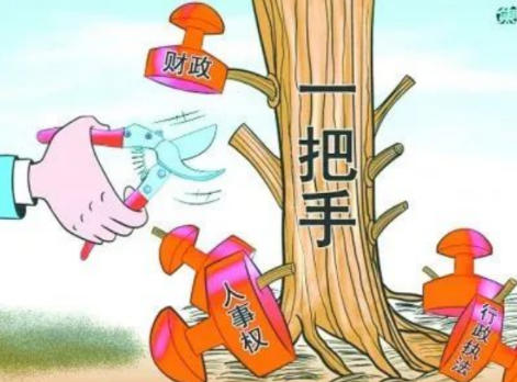 你確定你們的項(xiàng)目是“一把手工程”？